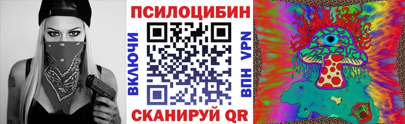 даркнет сайт  Новосокольники  Галлюциногенные грибы Psilocybine cubensis 
